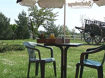 Logis Restaurant Le Vieux Fusil Soings-en-Sologne